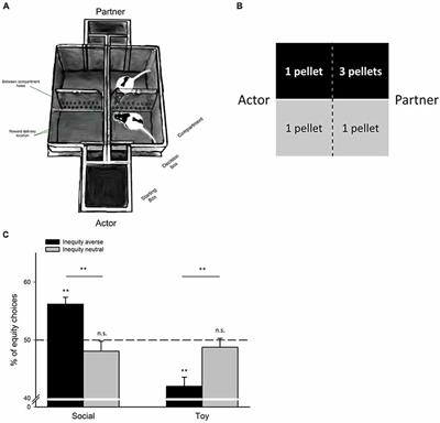 Social and Non-social Mechanisms of Inequity Aversion in Non-human Animals